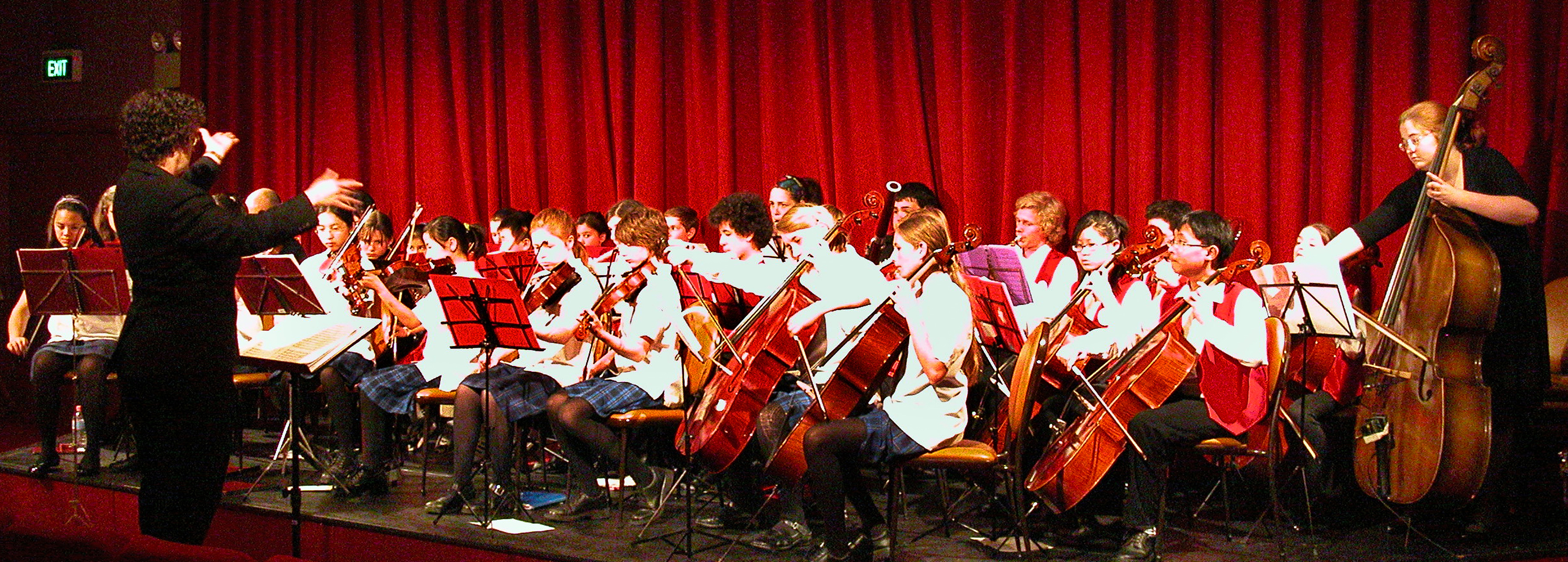 Orchestra instruments